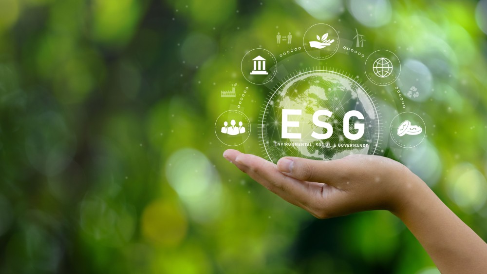 Progettare, sviluppare e monitorare una strategia ESG